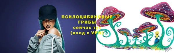амф Медногорск