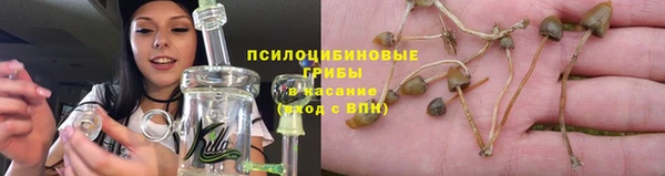 амф Медногорск