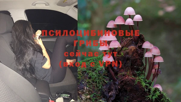 ALPHA PVP Медвежьегорск